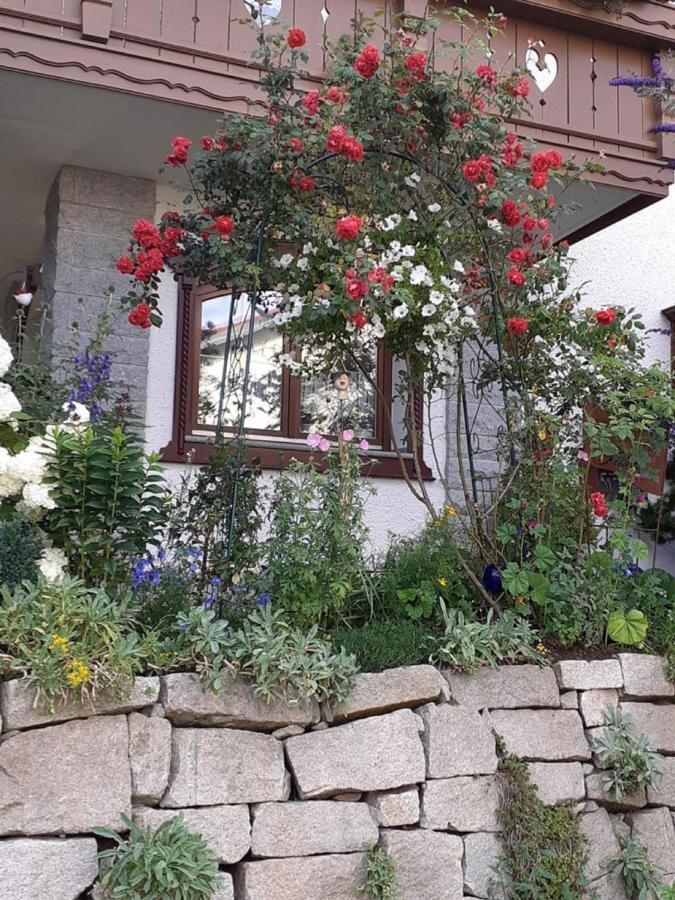 Ferienwohnung Arberblick ラム エクステリア 写真